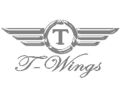 Transfer Wings
